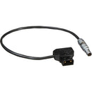 Teradek PTap to 2pin Power Cable (11in/27cm)