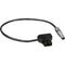 Teradek PTap to 2pin Power Cable (11in/27cm)