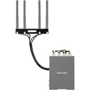 Teradek Bolt 4K Antenna Extension Kit