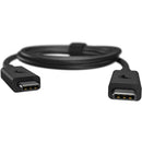 Angelbird USB 3.2 Gen 2 Type-C to Type-C Male Cable (1.6'