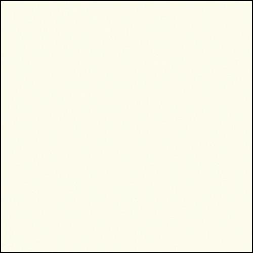 Savage Widetone Seamless Background Paper (