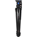 Benro C373F Series 3 Carbon Fiber Video Tripod and BV6 Head