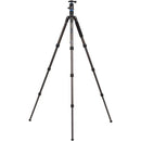 Benro FTA28CV1 Travel Angel Series 2 Carbon Fiber Tripod with V1E Ball Head