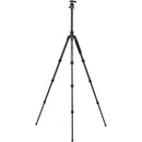 Benro FTA28CV1 Travel Angel Series 2 Carbon Fiber Tripod with V1E Ball Head