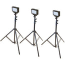 Bescor Three-Point LED-70 Studio On-Camera Lighting Kit