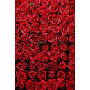 Savage Romantic Roses Printed Vinyl Backdrop (5x7')