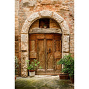 Savage Italian Arched Doorway Printed Vinyl Backdrop (5x7')