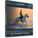 NewBlueFX Essentials 5 Ultimate (Download)