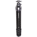 Benro Tortoise Columnless Carbon Fiber Three Series Tripod with GX35 Ball Head