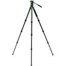 Benro Wild Series 1 Aluminum Tripod with BWH4 2-Way Pan and Tilt Head (Green)