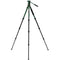 Benro Wild Series 1 Aluminum Tripod with BWH4 2-Way Pan and Tilt Head (Green)