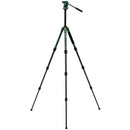 Benro Wild Series 1 Carbon Fiber Tripod with BWH4 2-Way Pan and Tilt Head (Green)