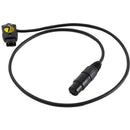 SafeTap Connector Cable to 4-Pin XLR Female Cable (28", Non- Regulated) Indipro 